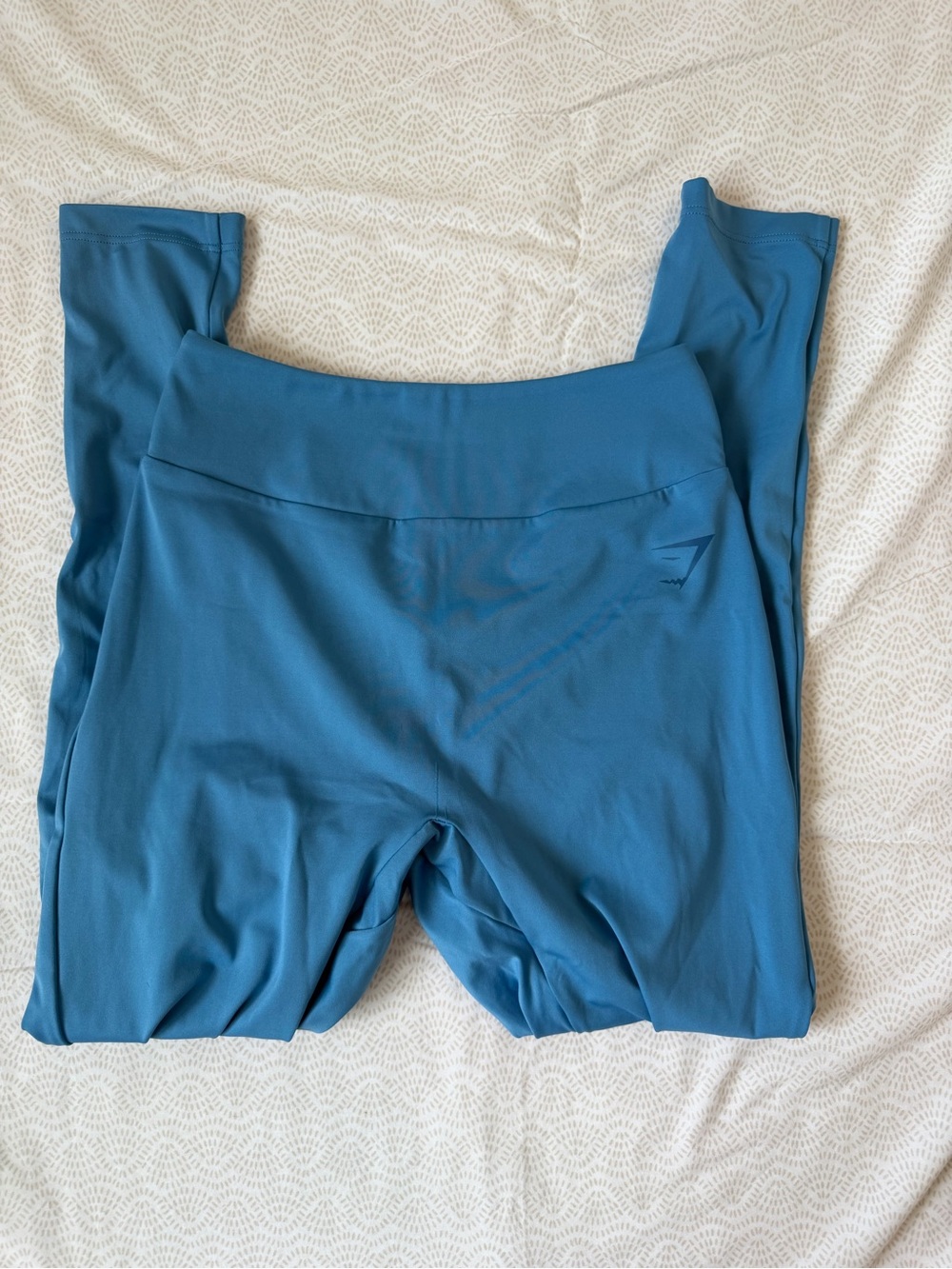 Gymshark Light Blue Performance Hoodie